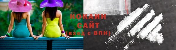 ешки Ладушкин