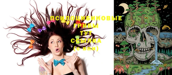 ешки Ладушкин