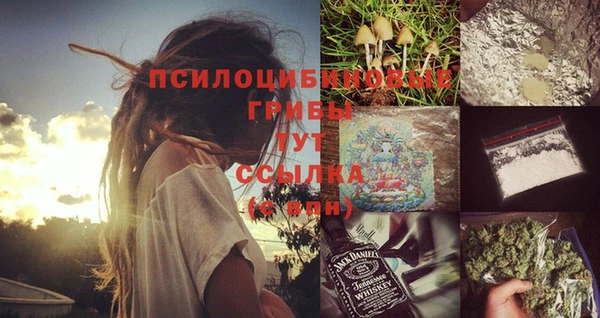 ешки Ладушкин