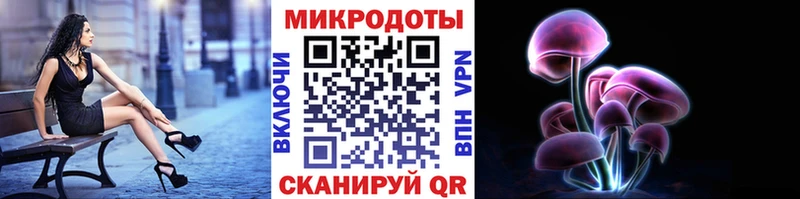 Псилоцибиновые грибы Psilocybe  Купить закладки  Мосальск 
